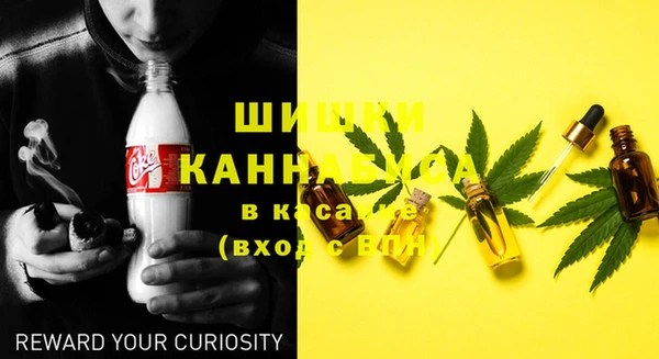 ПСИЛОЦИБИНОВЫЕ ГРИБЫ Киреевск