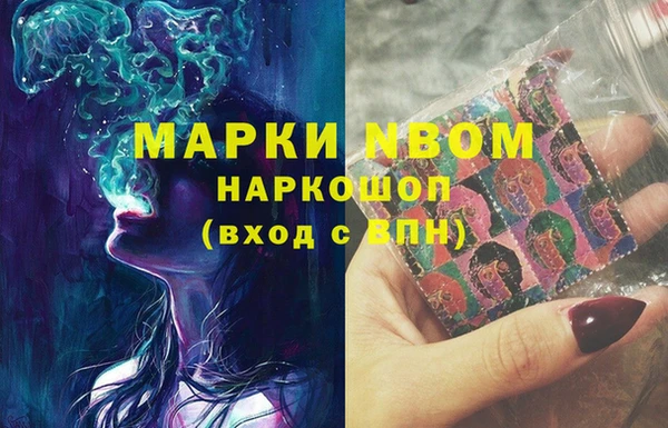 мдпв Каменка