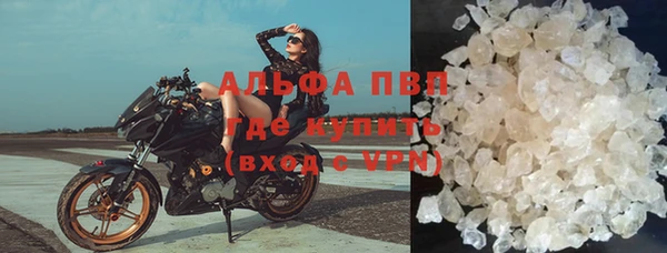 ПСИЛОЦИБИНОВЫЕ ГРИБЫ Киреевск