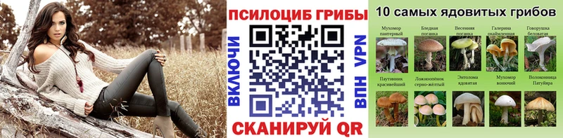 Купить где  Балабаново  Галлюциногенные грибы Psilocybe 
